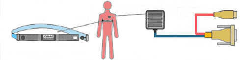 Heart Rate Variability Evaluation performed at Tara Health Centre using Automated Nervous System Analysis or ANSA.
